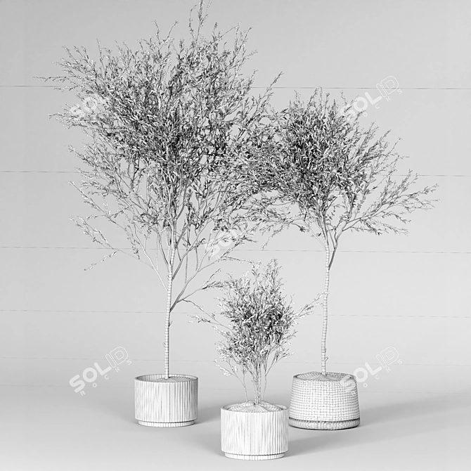 Modern Plant Collection Model Set 3D model image 2