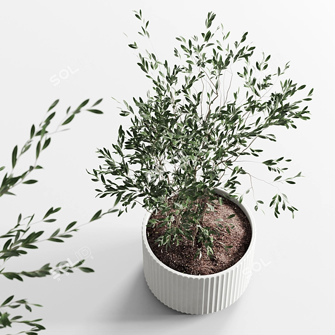 Modern Plant Collection Model Set 3D model image 3