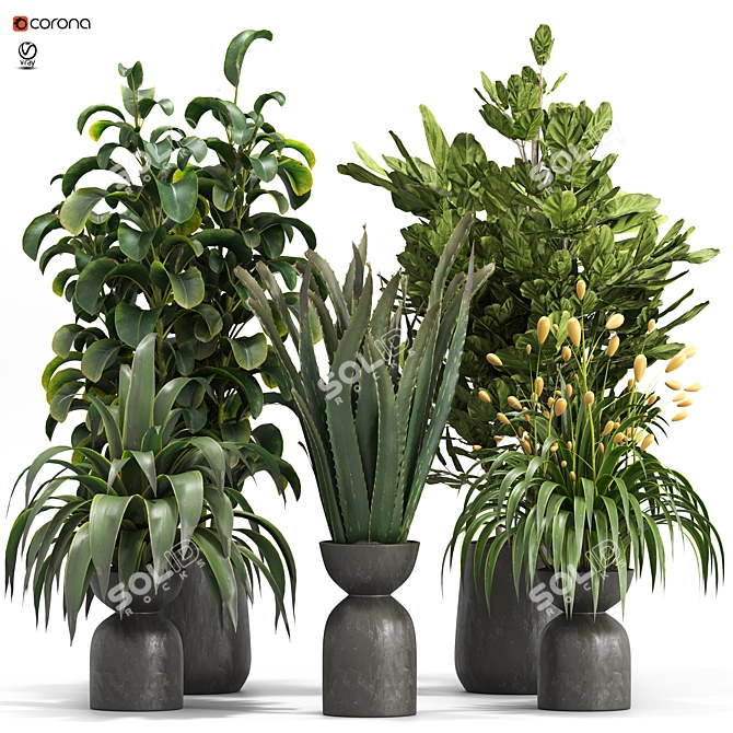 Botanica Set: Lush Indoor Greenery 3D model image 1