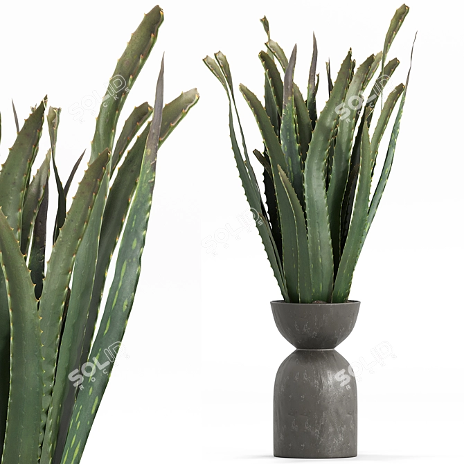 Botanica Set: Lush Indoor Greenery 3D model image 5