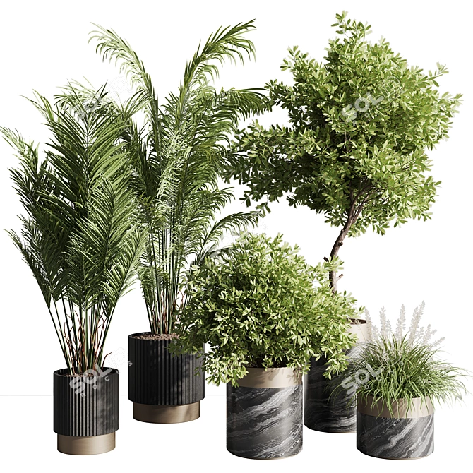 Modern Indoor Plant Set 57 3D model image 1