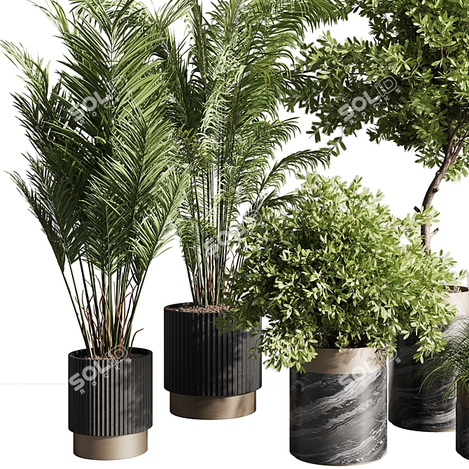 Modern Indoor Plant Set 57 3D model image 2