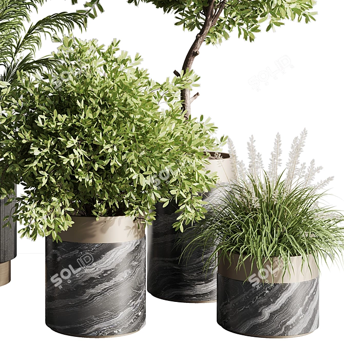 Modern Indoor Plant Set 57 3D model image 4