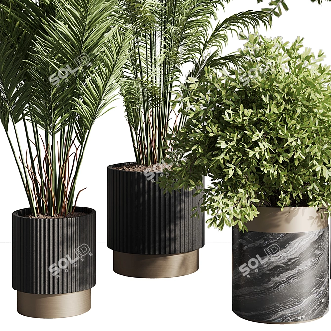 Modern Indoor Plant Set 57 3D model image 6