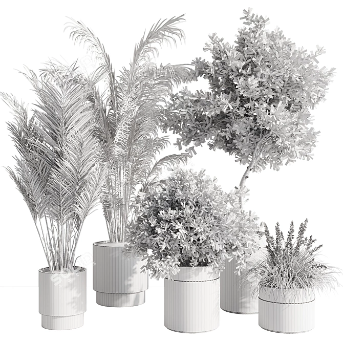 Modern Indoor Plant Set 57 3D model image 7