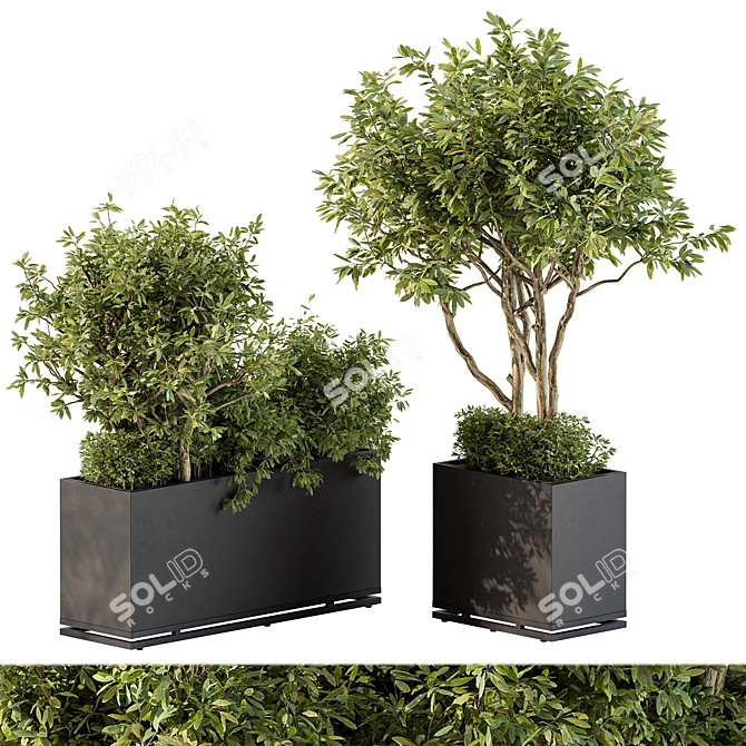 Outdoor Plants Collection Box 3D model image 2