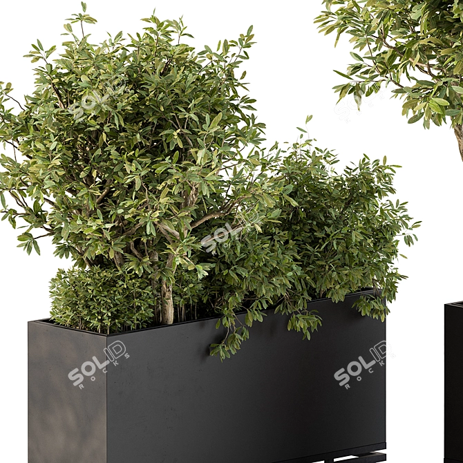 Outdoor Plants Collection Box 3D model image 4