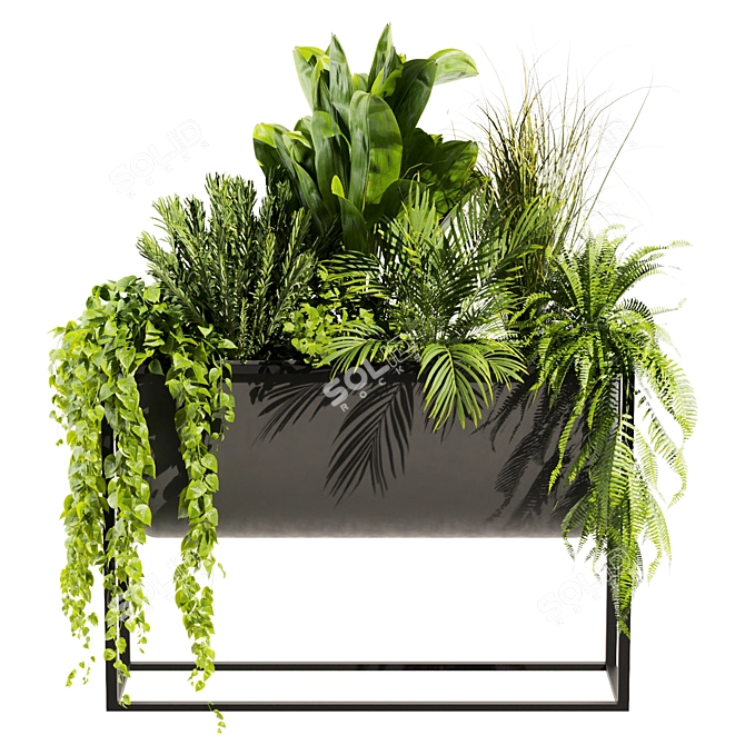 Premium Plant Collection Set - 3D Model 3D model image 2