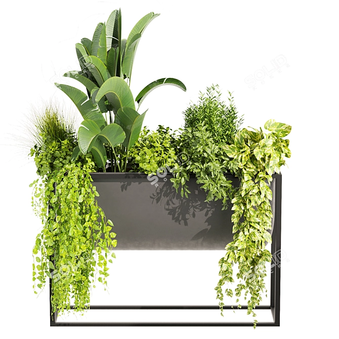 Premium Plant Collection Set - 3D Model 3D model image 3