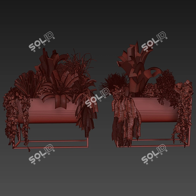 Premium Plant Collection Set - 3D Model 3D model image 7