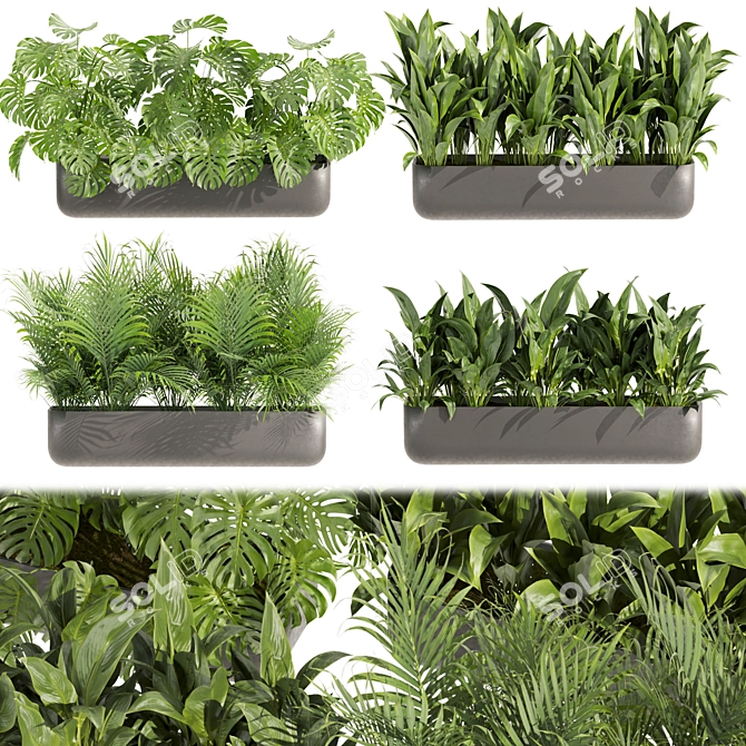 Low-Volume Indoor Plant Collection 3D model image 1