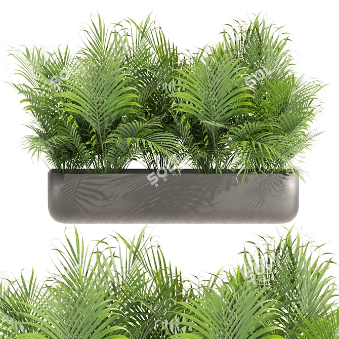 Low-Volume Indoor Plant Collection 3D model image 2