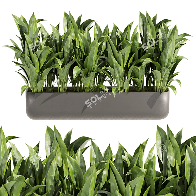 Low-Volume Indoor Plant Collection 3D model image 3