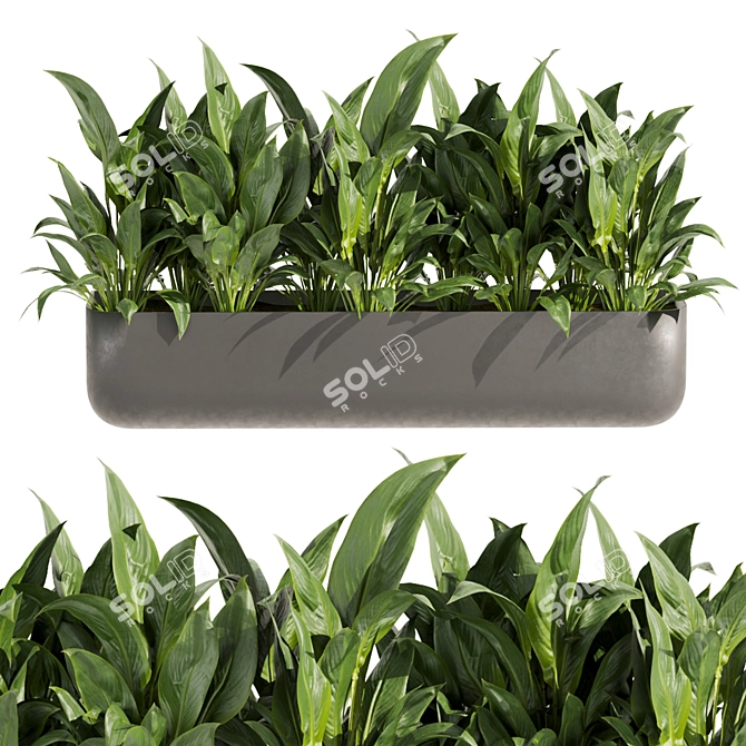 Low-Volume Indoor Plant Collection 3D model image 4