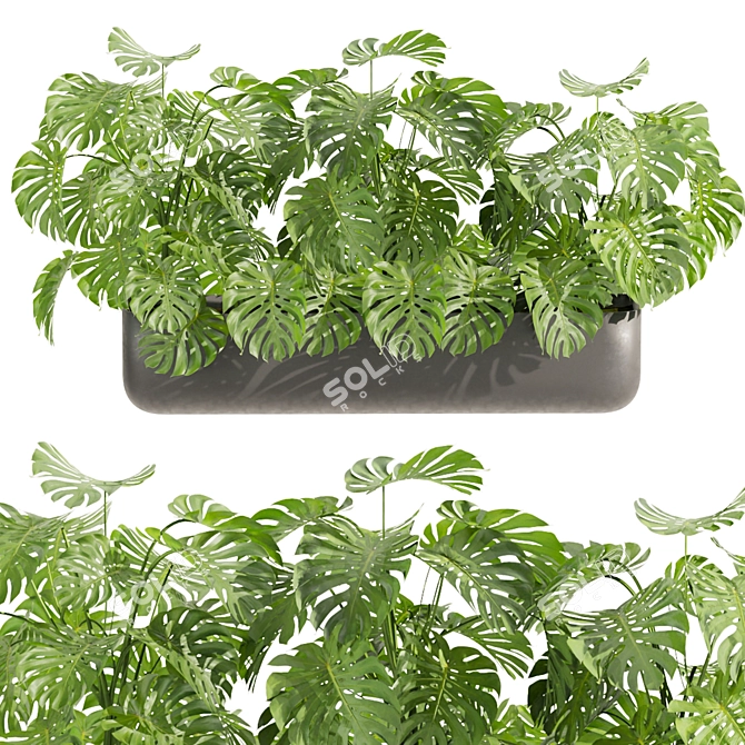Low-Volume Indoor Plant Collection 3D model image 5