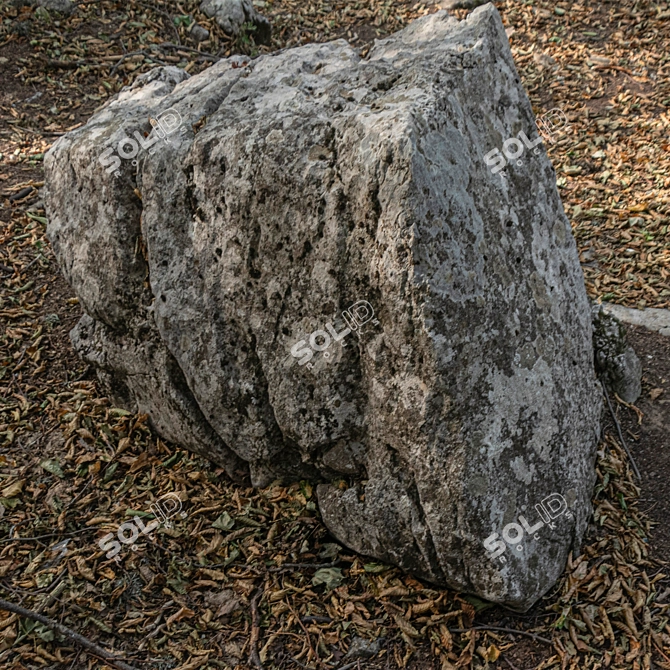 Park and Landscape Stone Decoration 3D model image 7