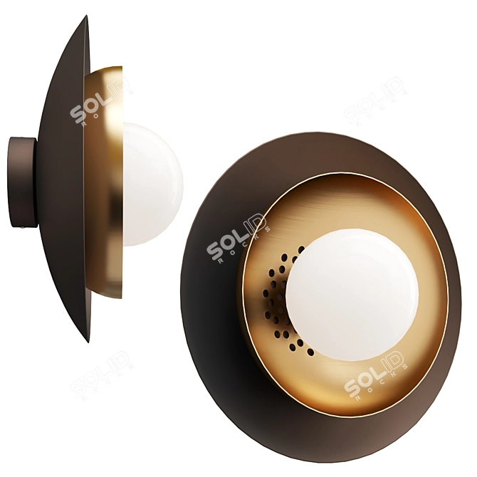 Carapace Wall Sconce - 32cm Diameter 3D model image 1