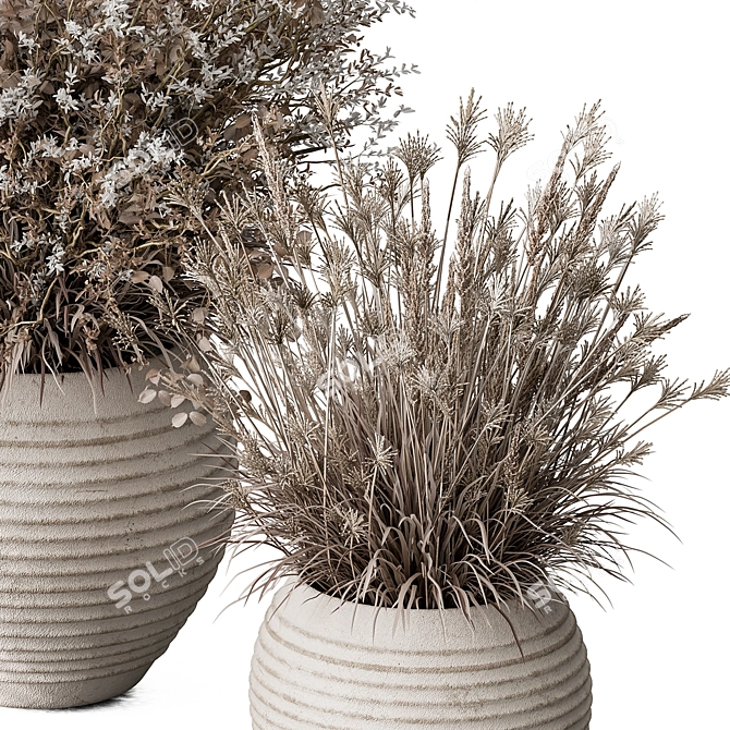 Dried Indoor Plant 486 3D model image 3