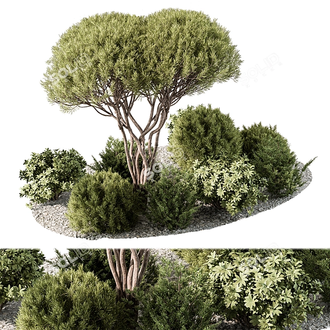 Outdoor Garden Plants Collection 3D model image 1