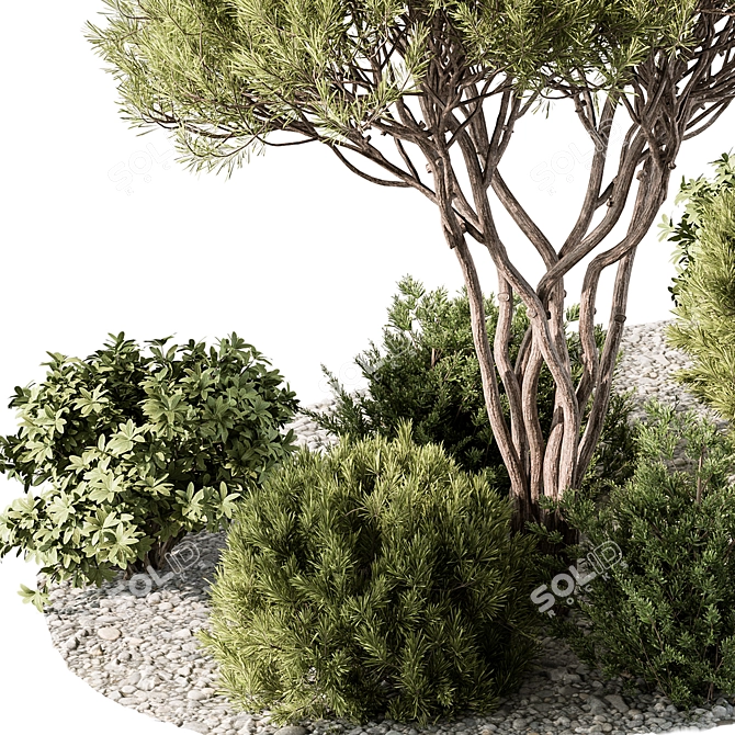 Outdoor Garden Plants Collection 3D model image 3