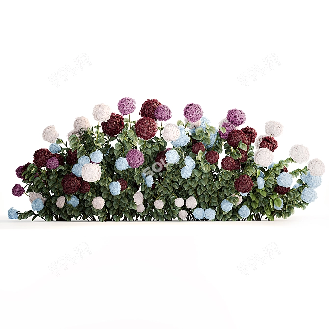 Blooming Hydrangea Bush Collection 3D model image 6