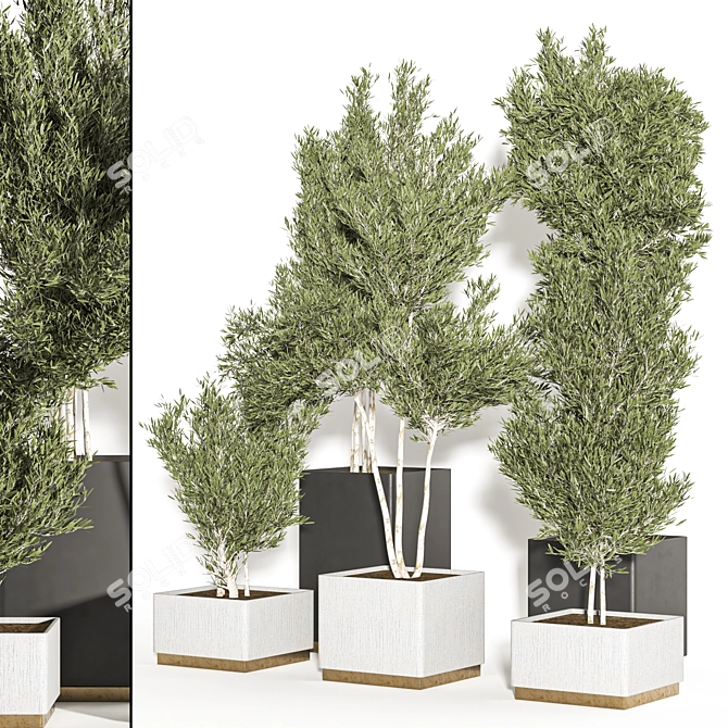 Resizable Indoor/Outdoor Plants, Anywhere 3D model image 1