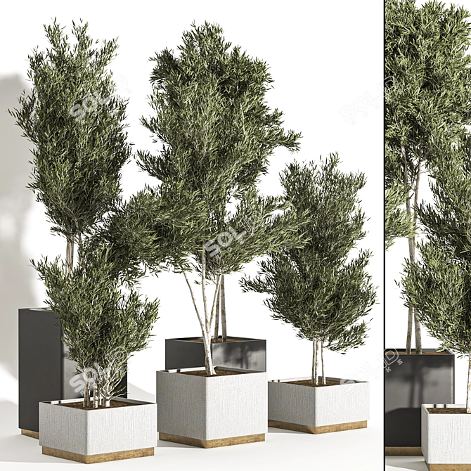 Resizable Indoor/Outdoor Plants, Anywhere 3D model image 2