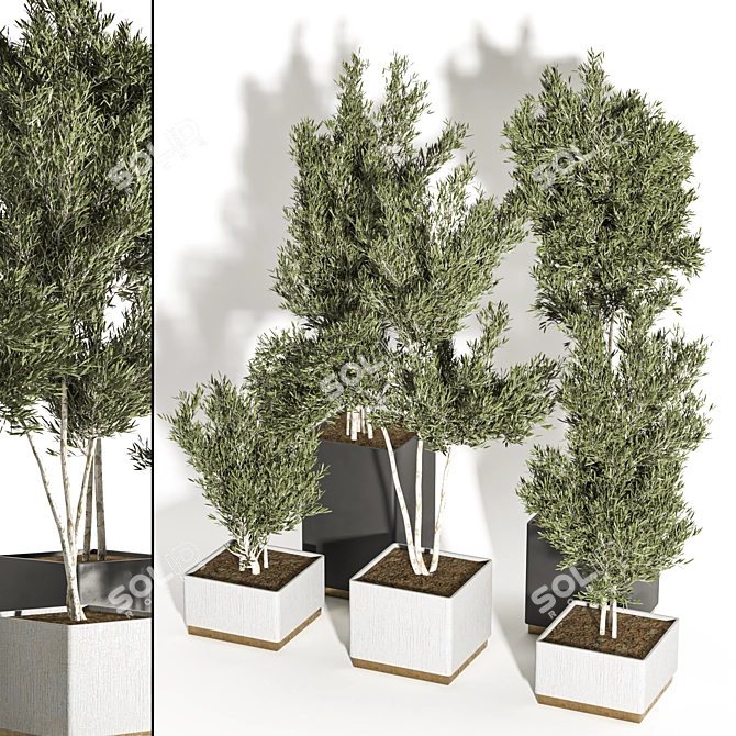 Resizable Indoor/Outdoor Plants, Anywhere 3D model image 4