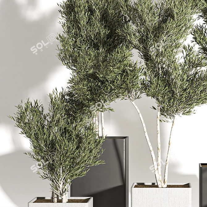 Resizable Indoor/Outdoor Plants, Anywhere 3D model image 6