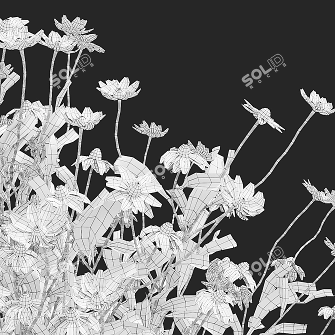 Chamomile Flower Set | 3D Models 3D model image 5