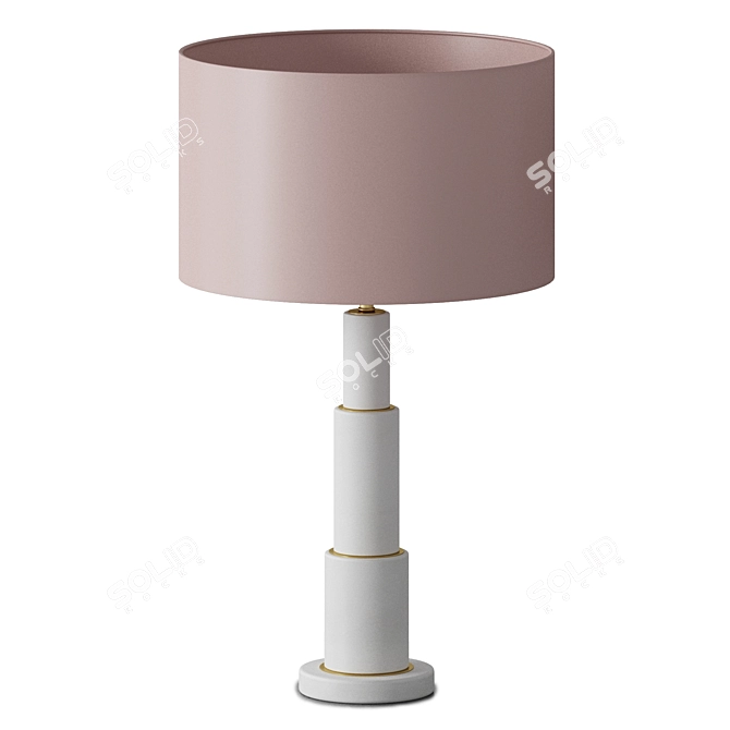 Elegant Modern Table Lamp 3D model image 3