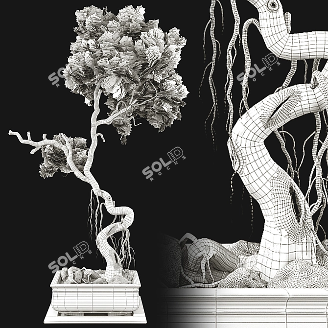 Bonsai Tree 63 3D Model 3D model image 7