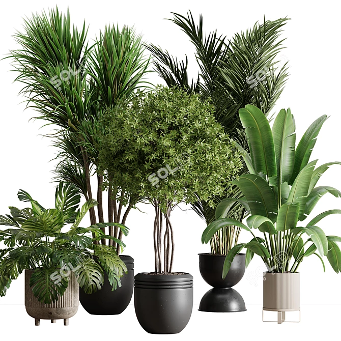 Botanical Bliss Indoor Plant Set 3D model image 1