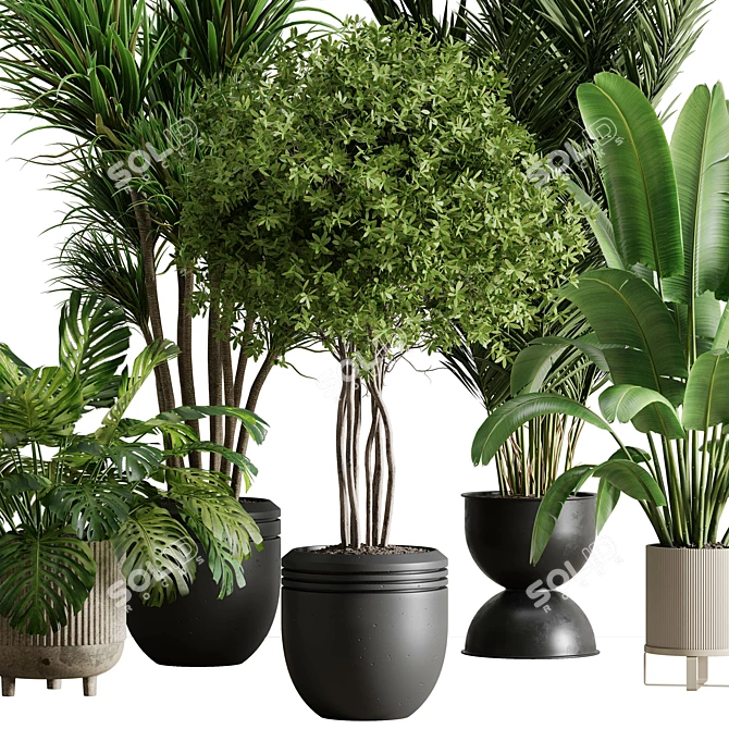 Botanical Bliss Indoor Plant Set 3D model image 2