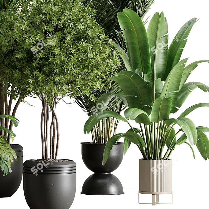 Botanical Bliss Indoor Plant Set 3D model image 3