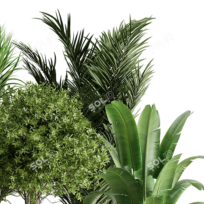 Botanical Bliss Indoor Plant Set 3D model image 6