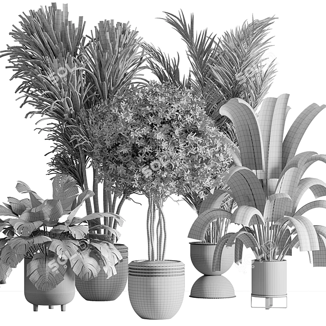 Botanical Bliss Indoor Plant Set 3D model image 7