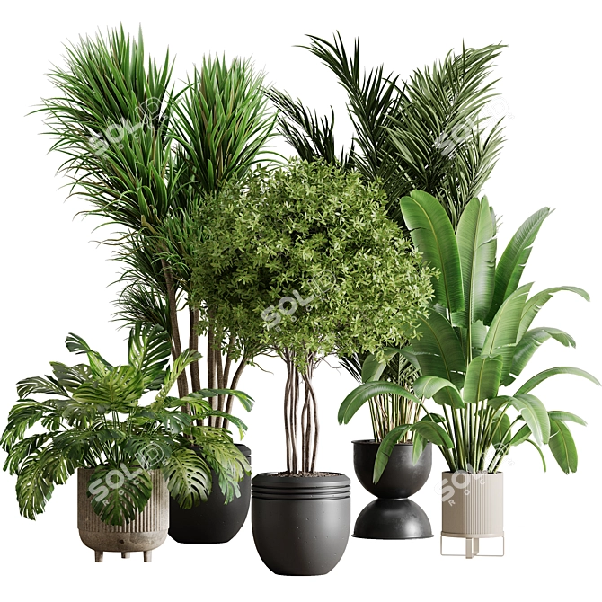 Botanical Bliss Indoor Plant Set 3D model image 8