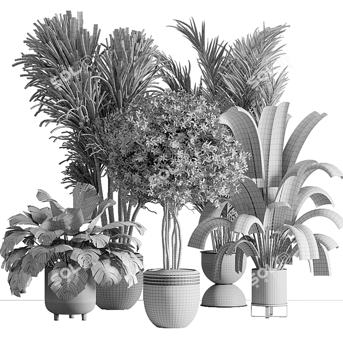 Botanical Bliss Indoor Plant Set 3D model image 9