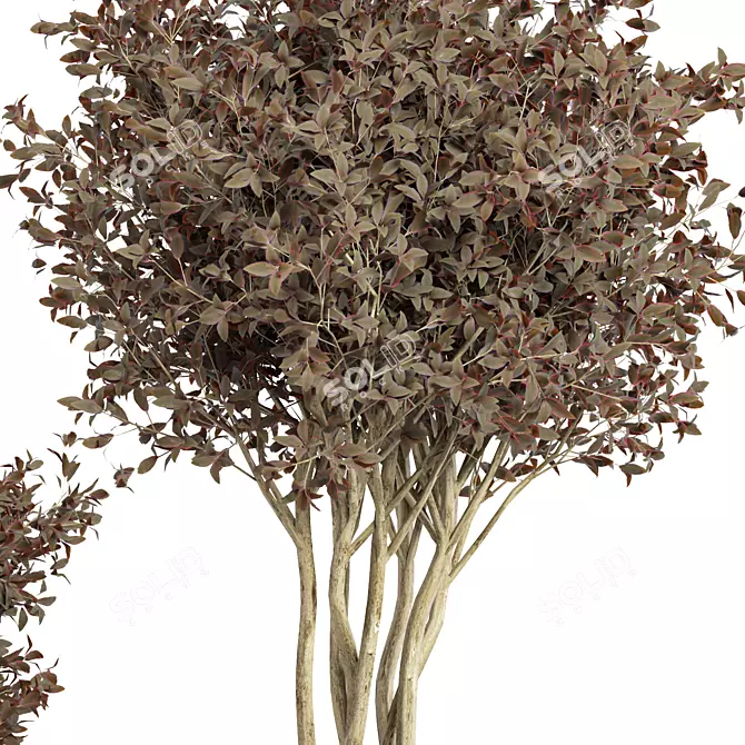 Exquisite Indoor Plant No.37 3D model image 2