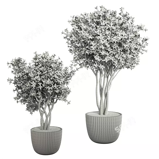 Exquisite Indoor Plant No.37 3D model image 4