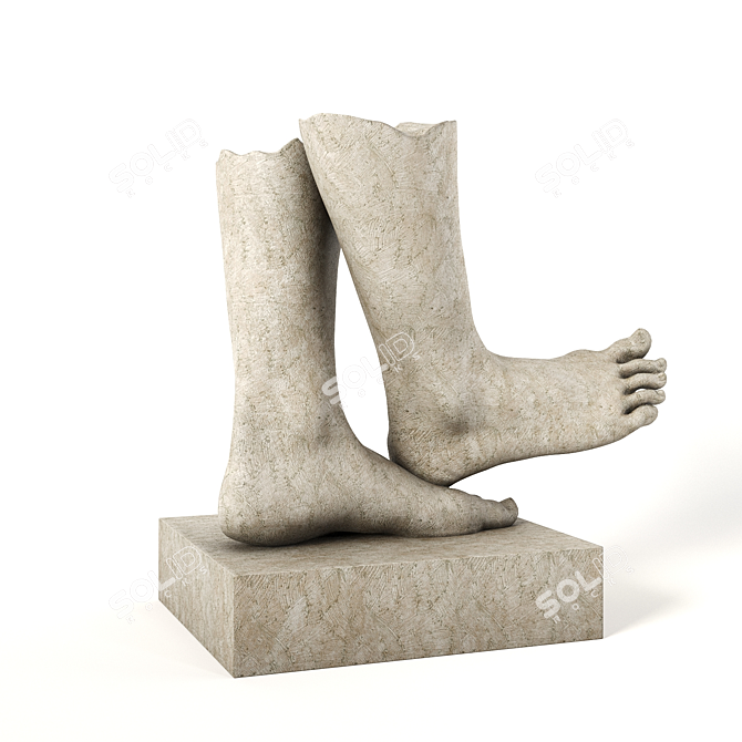 Clay Foot Sculpture Kit 3D model image 3