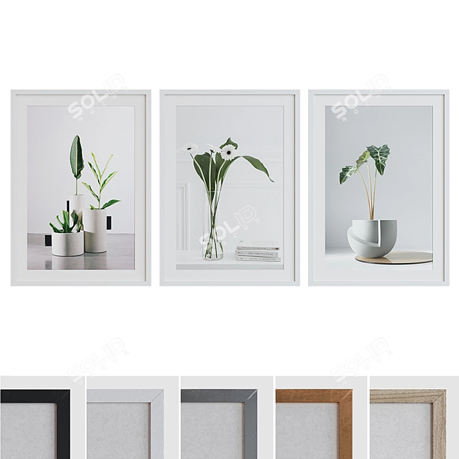 Modern Plant Still Life Frames Set 3D model image 1