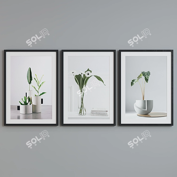 Modern Plant Still Life Frames Set 3D model image 2