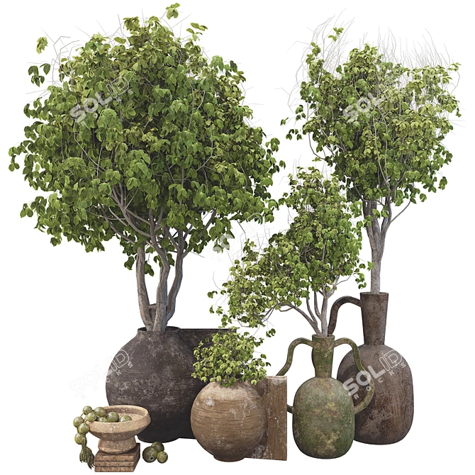  3D Plant Collection Set 3D model image 1