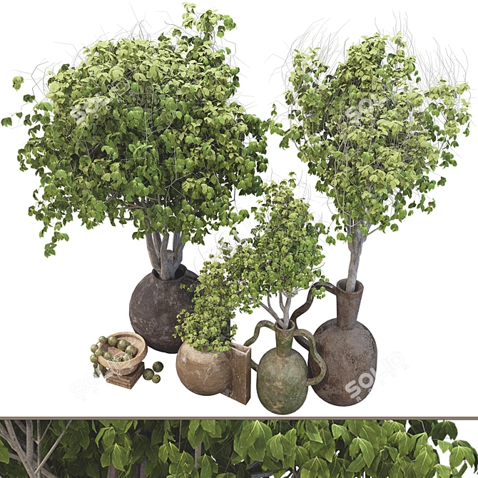  3D Plant Collection Set 3D model image 2