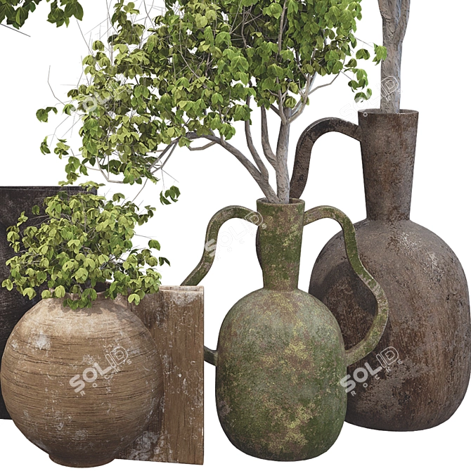  3D Plant Collection Set 3D model image 5