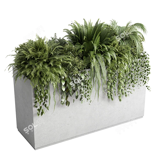 Box Plant Set Stand Vase 3D model image 1