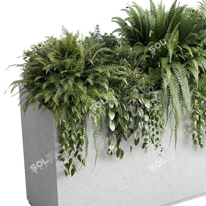 Box Plant Set Stand Vase 3D model image 3