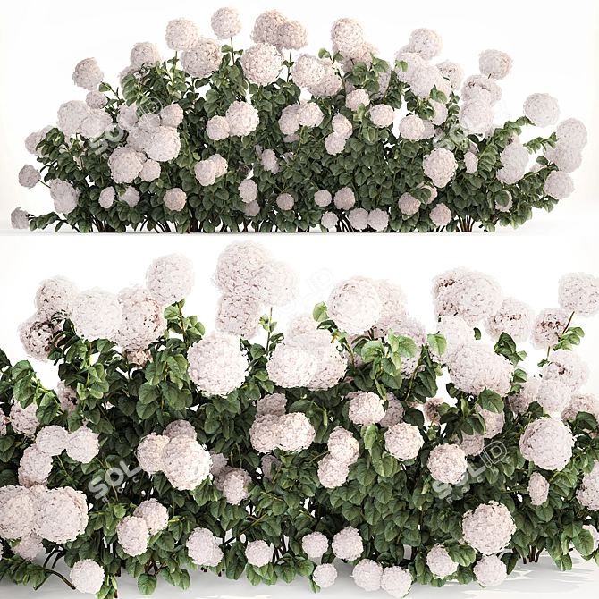 White Hydrangea Bush for Garden Decor 3D model image 1